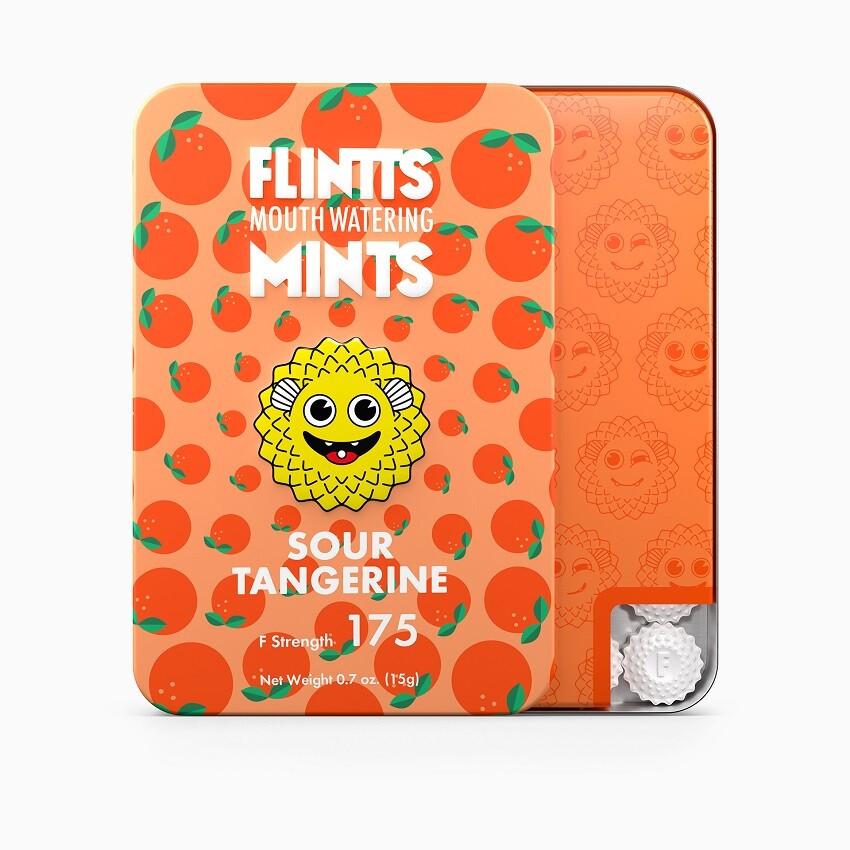 FLINTTS MINTS lozenges against dry mouth 15g
