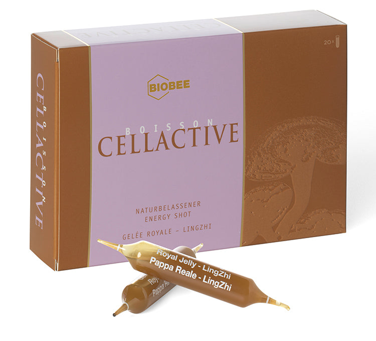 BIOBEE Boisson Cellactive 20 Drinking Ampoules