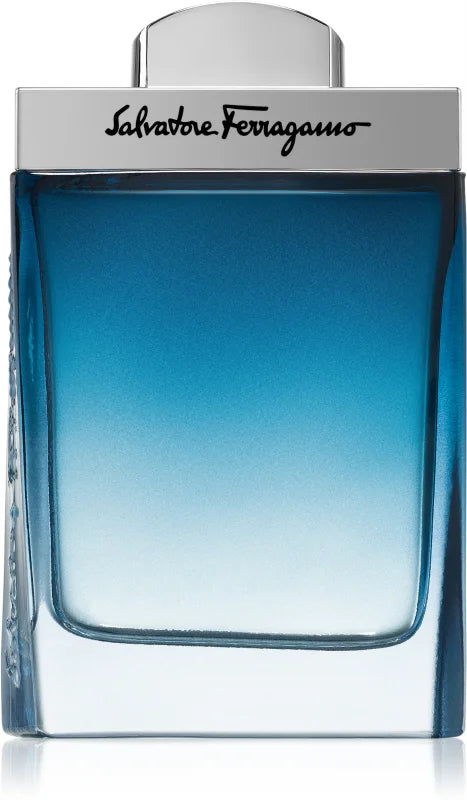 Salvatore Ferragamo Subtil Pour Homme eau de toilette My Dr. XM