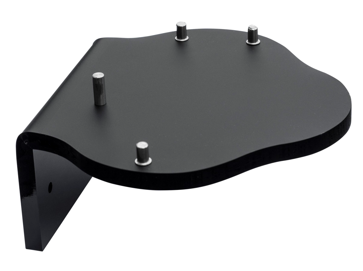 Waterpik wall mount for model WP112