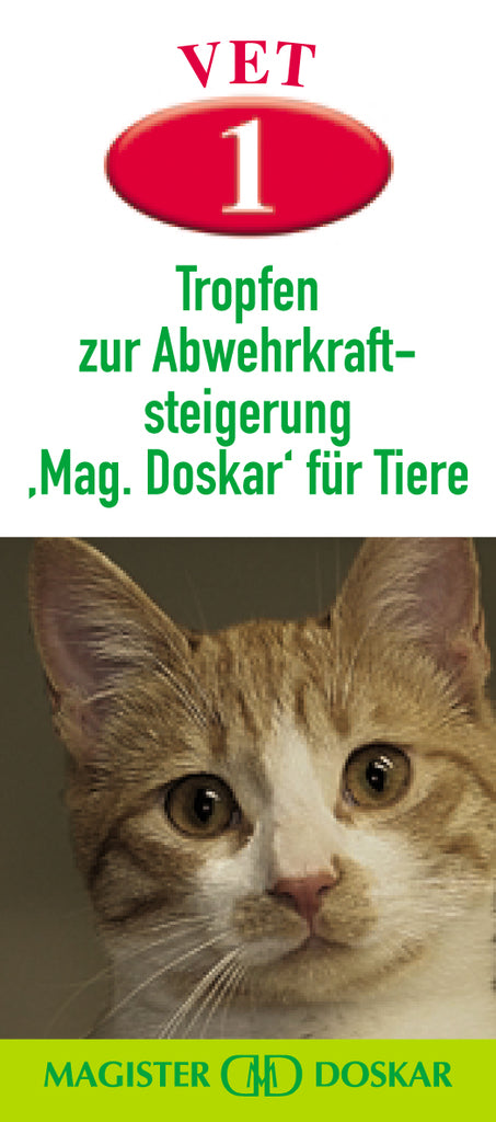 Magister Doskar VET 1 drops to increase the immunity 50 ml