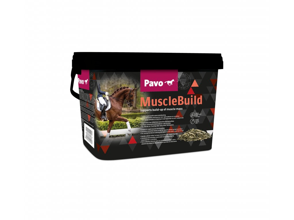 PAVO Muscle Build 3kg