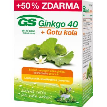 GS Ginkgo 40 + Gotu, 80 tablets + 40 tablets FREE - mydrxm.com