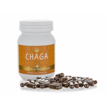 ES Chaga PREMIUM 100 capsules - mydrxm.com