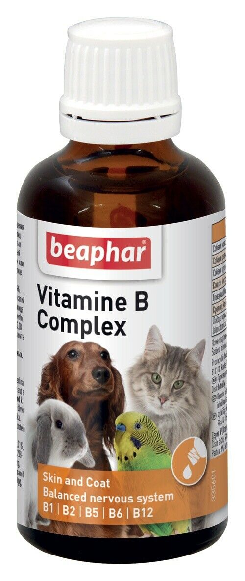 Vitamin shops b supplement for dogs