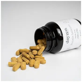 Dayzen female balance 90 tablets