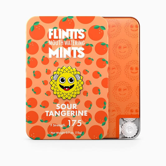FLINTTS MINTS lozenges against dry mouth 15g