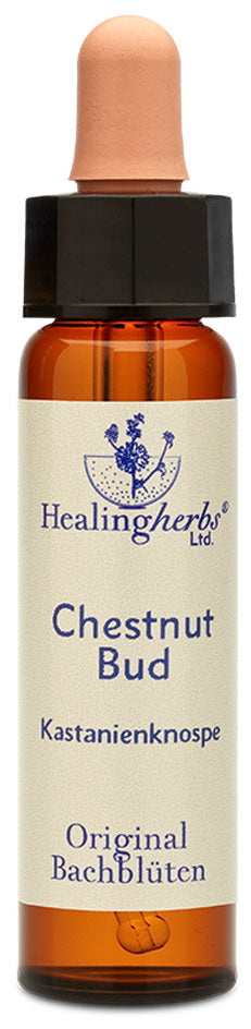 Healing Hertbs Ltd. Bach Flowers Chestnut Bud