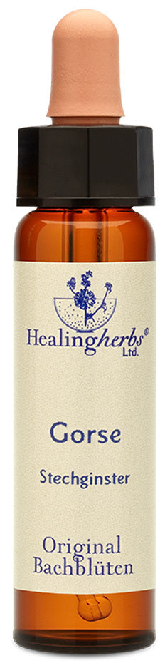 Healing Hertbs Ltd. Bach Flowers Gorse