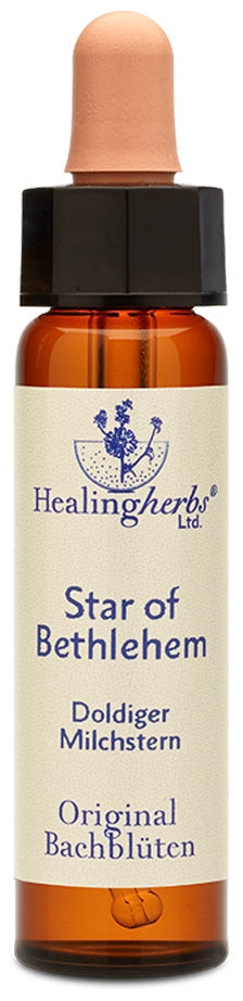 Healing Hertbs Ltd. Bach Flowers Star of Bethlehem