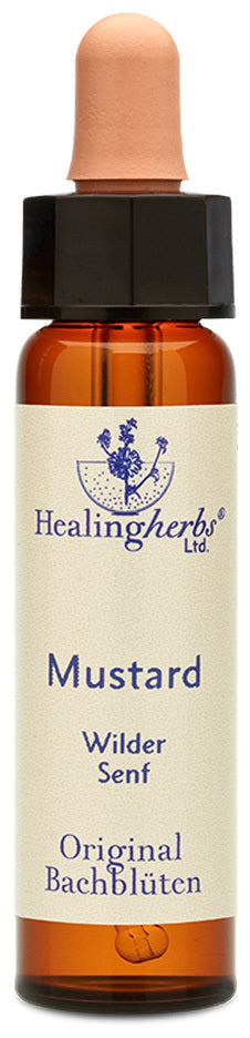 Healing Hertbs Ltd. Bach Flowers Mustard