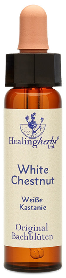 Healing Hertbs Ltd. Bach Flowers White Chestnut