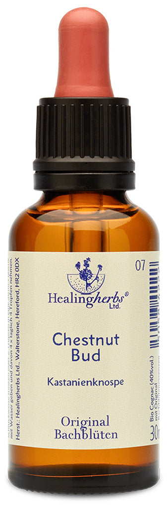 Healing Hertbs Ltd. Bach Flowers Chestnut Bud
