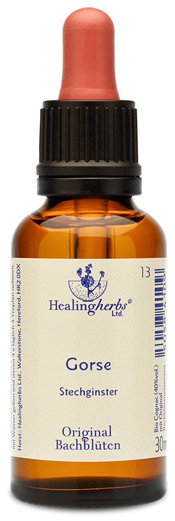 Healing Hertbs Ltd. Bach Flowers Gorse