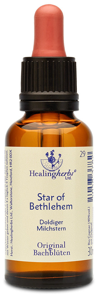 Healing Hertbs Ltd. Bach Flowers Star of Bethlehem