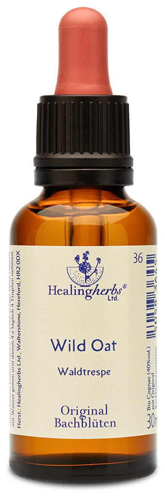 Healing Hertbs Ltd. Bach Flowers Wild Oat