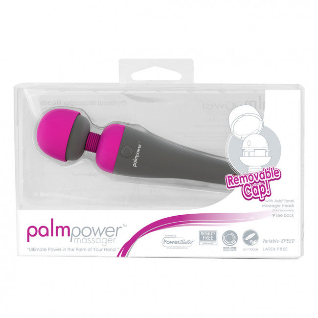PalmPower Wand Massager