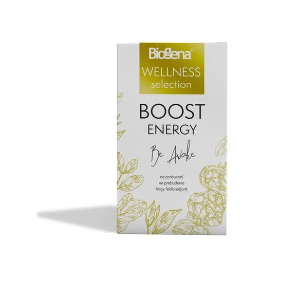 Biogena WELLNESS selection Boost energy 20 teabags