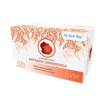My Real Way Antrodia Cinnamomea Camphorata 90 capsules