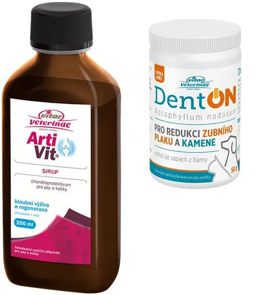 Vitar Veterinae Artivit Syrup 200ml + DentOn 50g