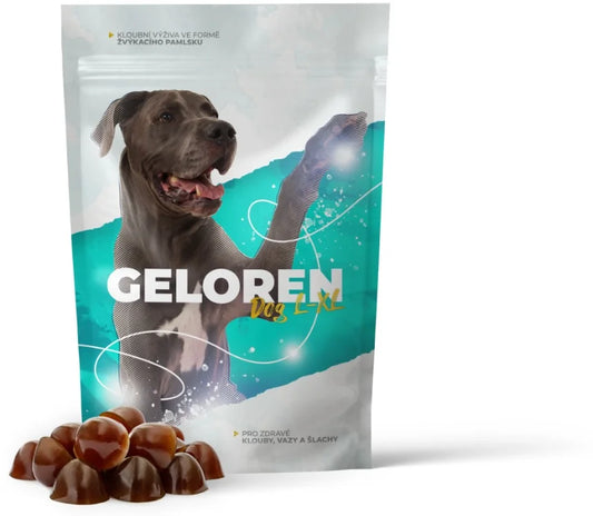 Geloren Dog L/XL 420 g 60 jelly cubes