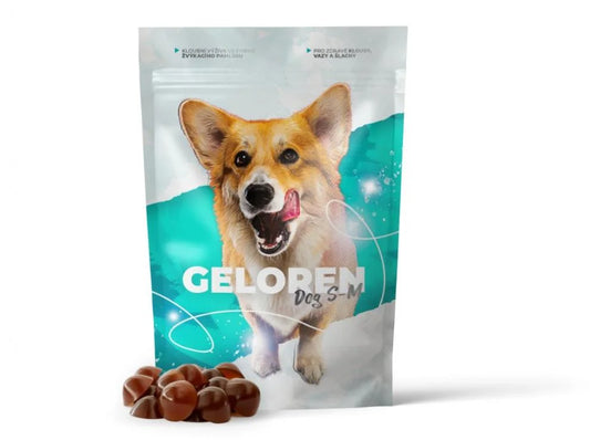 Geloren Dog S-M 180 g 60 jelly cubes