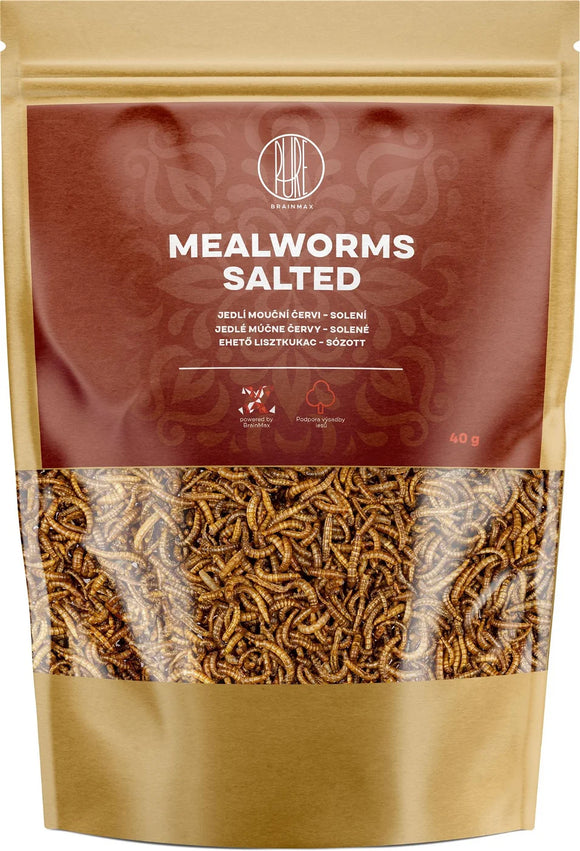 BrainMax Pure Salted Mealworms 40 g