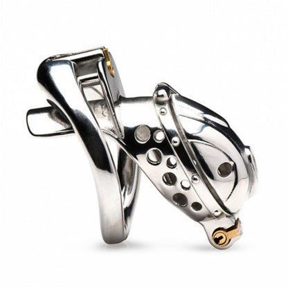 Master Series Deluxe Locking Chastity Cage