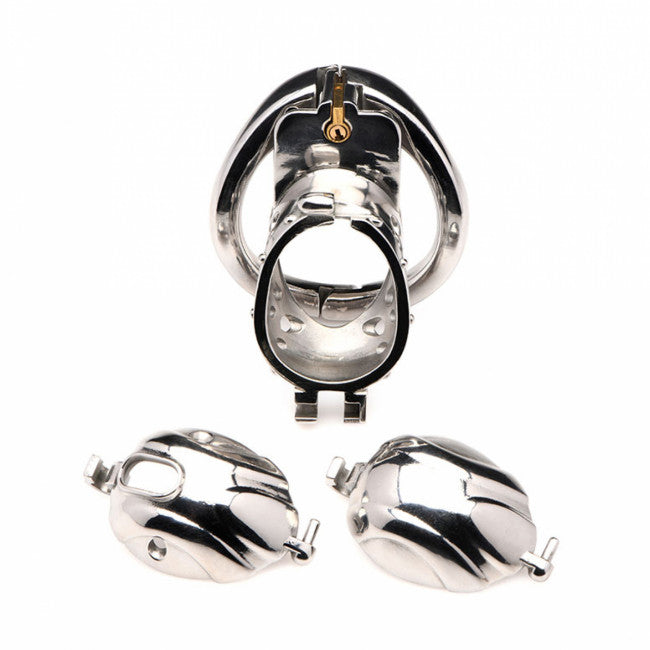 Master Series Deluxe Locking Chastity Cage