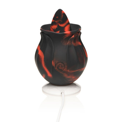 Bloomgasm Black Kiss Rimming Rose