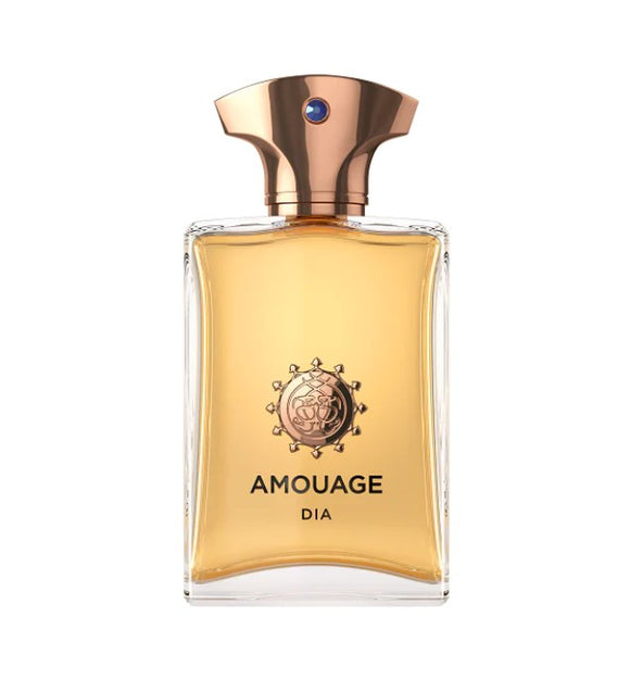 Amouage Dia Pour Homme Eau de Parfum 100 ml