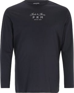 Jack&Jones PLUS Men's T-shirt JPRBLANATE Regular Fit