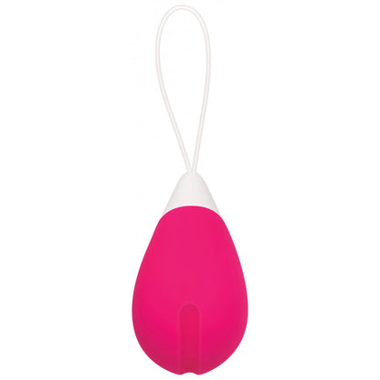 Evolved Remote Control Egg