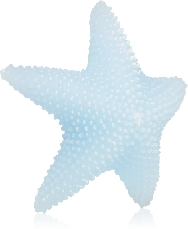 Rivière Maison Starfish Decorative candle Light Blue 190 g