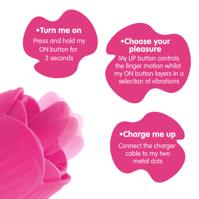 Skins Rose Buddies The Rose Flix My Dr. XM Skins Rose Buddies The Rose Flix My Dr. XM