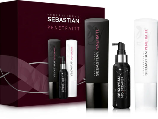 Sebastian Professional Penetraitt gift set for damaged, chemically treated hair