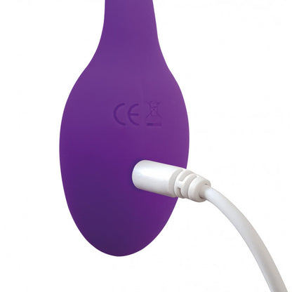 Adrien Lastic Smart Dream II with Remote