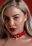Taboom Bondage in Luxury collar red 42.3 cm