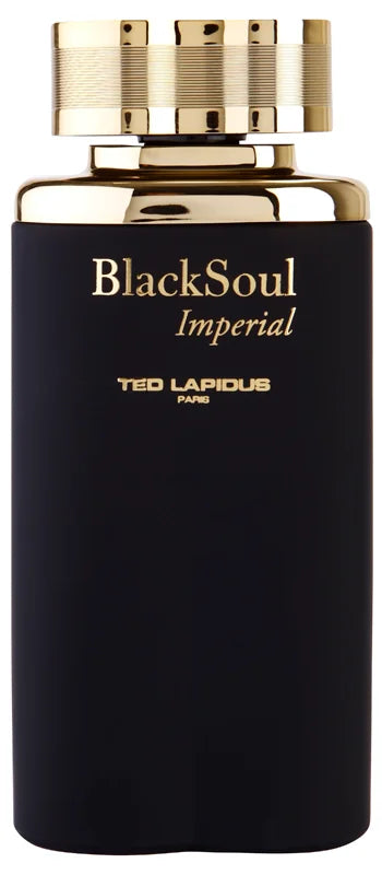 Ted Lapidus Black Soul Imperial eau de toilette for men 100 ml