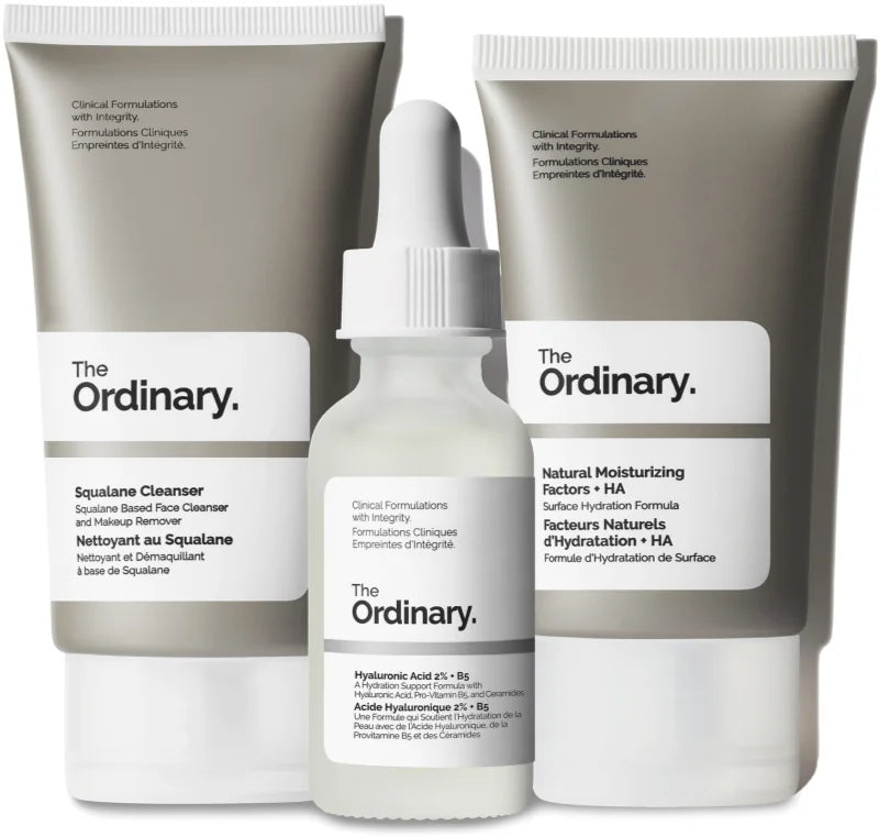 The Ordinary The Daily Set