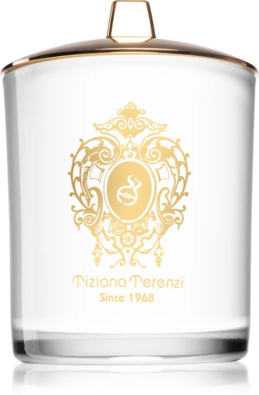 Tiziana Terenzi Spicy Snow scented candle with wooden wick