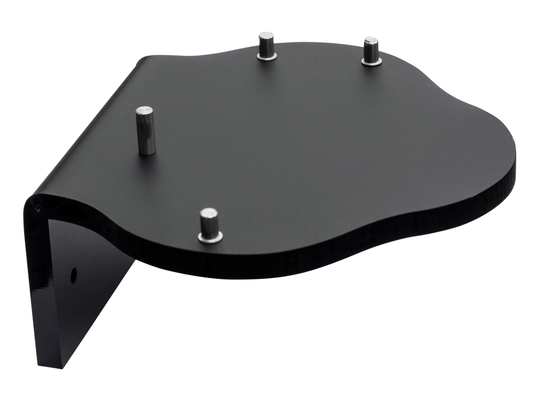 Waterpik wall mount for model WP112