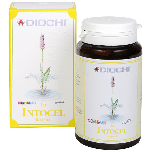 Diochi Intocel 90 capsules