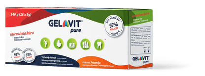 GelaVit Pure® Pineapple Box 28 x 5g