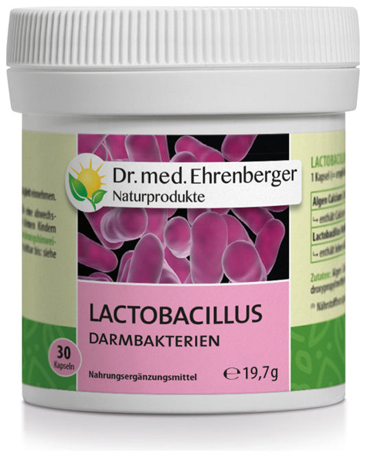 Dr. Ehrenberger Lactobacillus intestinal bacteria 30 capsules