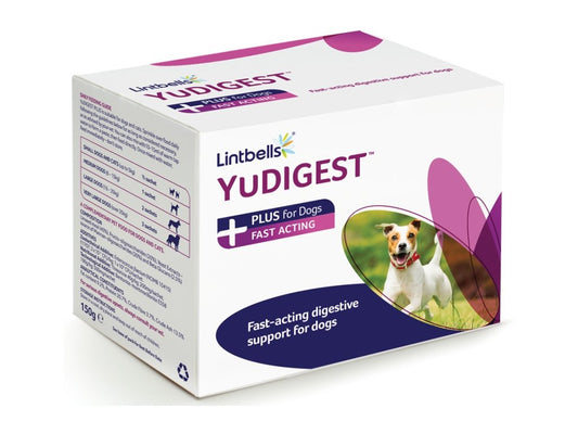 Lintbells YuDIGEST Plus 6 bags