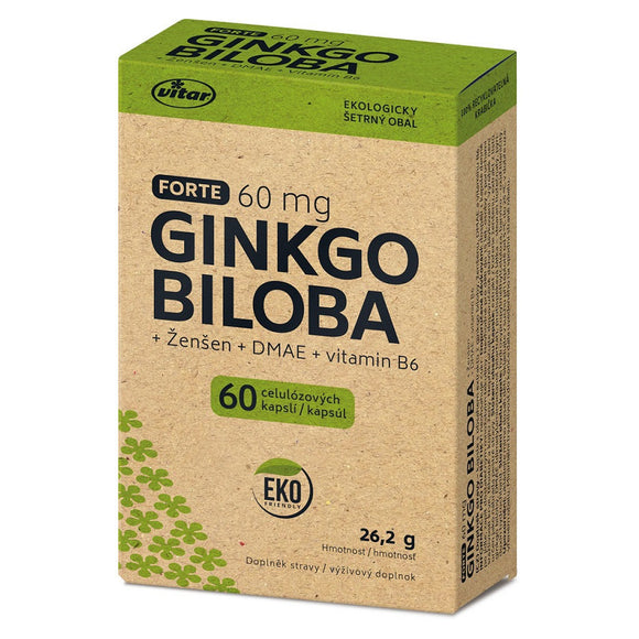 VITAR Ginkgo Biloba 60mg + DMAE + vitamin B6 ECO 60 capsules
