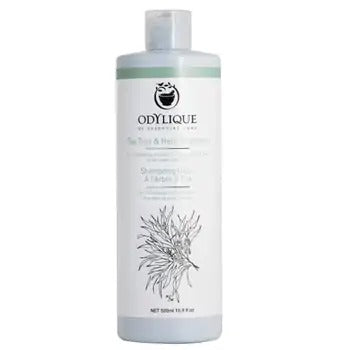 ODYLIQUE Anti-dandruff shampoo with nettle and Tea Tree oil 500 ml