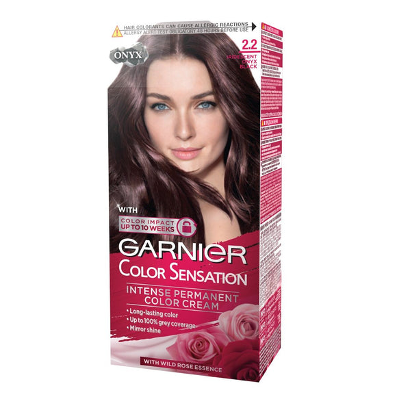 GARNIER Color Sensation hair color Onyx 2.2