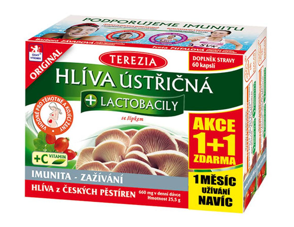 Terezia Oyster mushroom + lactobacilli 60 + 60 capsules 1 + 1 FOR FREE - mydrxm.com